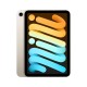 iPad Mini (2021) 64Gb Wi-Fi «Сияющая звезда» — стильный и мощный планшет от Apple