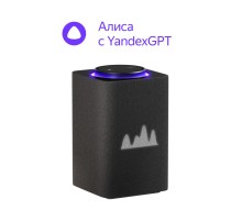 Умная колонка Яндекс Станция Макс с Zigbee YNDX-00053K Черный