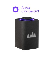 Умная колонка Яндекс Станция Макс с Zigbee YNDX-00053K Черный