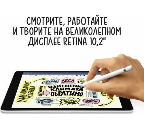 Планшет Apple iPad 10.9 2022 года: 256 ГБ памяти, поддержка Wi-Fi и Cellular, цвет серебристый