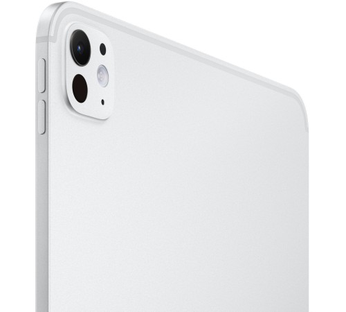 Планшет Apple iPad Pro 11 2024 года с нанотекстурным стеклом, 2048 ГБ, Wi-Fi + Cellular, серебристый