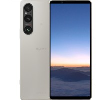 Смартфон Sony Xperia 1 V 12/512 ГБ (XQ-DQ72), серебристый