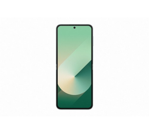 Смартфон Samsung Galaxy Z Flip6 12/256 ГБ в мятном цвете: Dual SIM (nano SIM + eSIM)