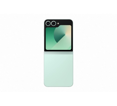 Смартфон Samsung Galaxy Z Flip6 12/512 ГБ в мятном цвете: Dual SIM (nano SIM + eSIM)