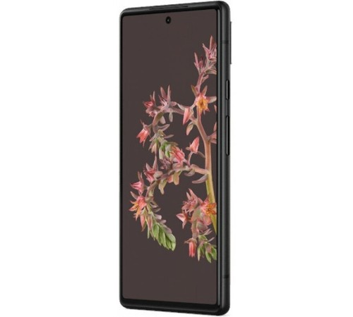 Смартфон Google Pixel 6 8/128 ГБ в цвете stormy black: nano SIM + eSIM