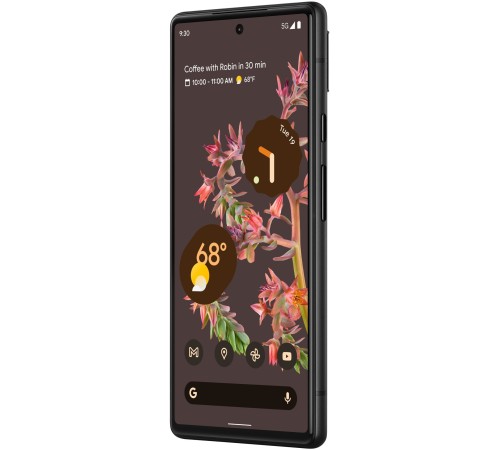 Смартфон Google Pixel 6 8/256 ГБ в цвете Stormy Black: nano SIM и eSIM