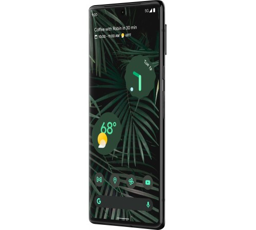 Смартфон Google Pixel 6 Pro 12/128 ГБ в цвете stormy black: nano SIM + eSIM