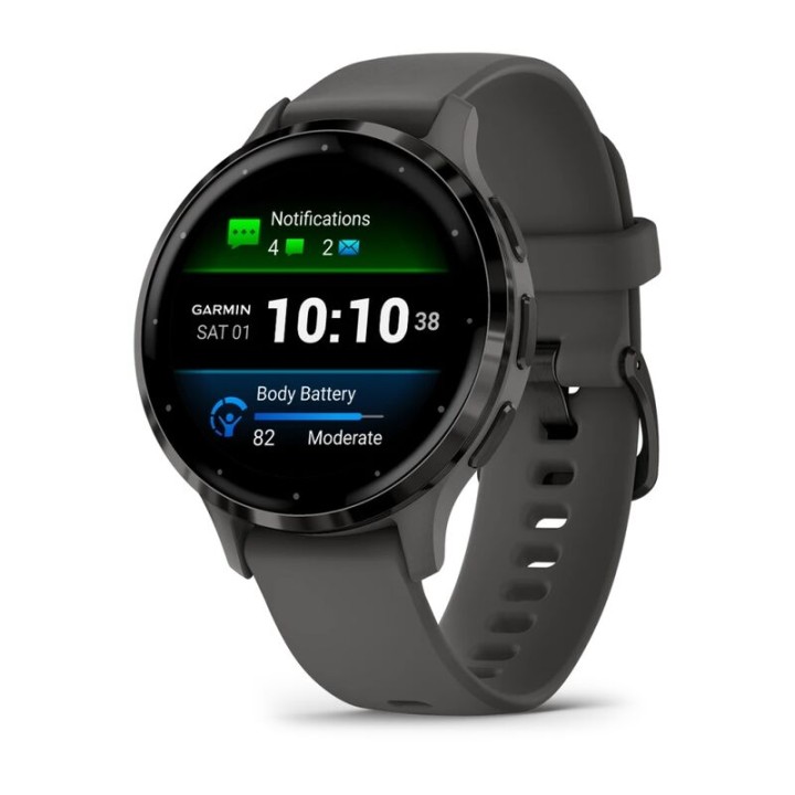 Умные часы Garmin Venu 3S Slate Pebble Gray 010-02785-00
