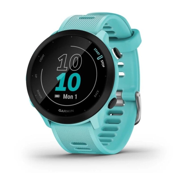 Умные часы Garmin Forerunner 55 Aqua 010-02562-12