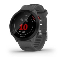 Умные часы Garmin Forerunner 55 Grey 010-02562-13