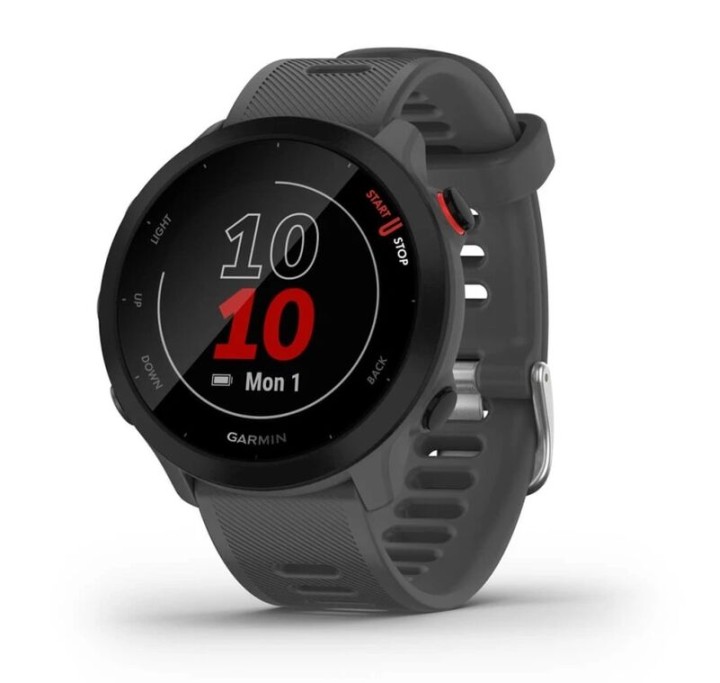 Умные часы Garmin Forerunner 55 Grey 010-02562-13