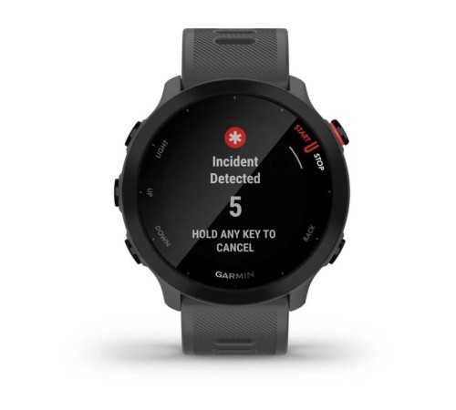 Умные часы Garmin Forerunner 55 Grey 010-02562-13