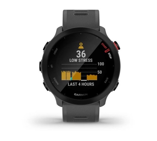 Умные часы Garmin Forerunner 55 Grey 010-02562-13