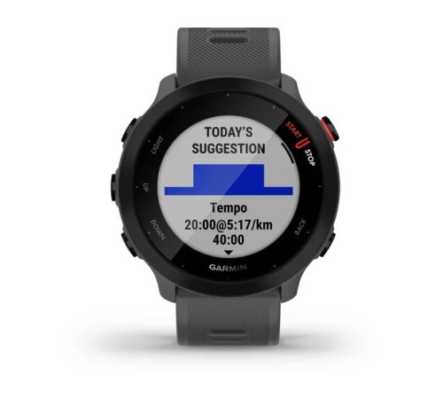 Умные часы Garmin Forerunner 55 Grey 010-02562-13