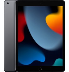Планшет Apple iPad 10.2 (9gen), 256 ГБ, Wi-Fi+Cellular, iPadOS, серый