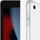 Сильвер-версия Apple iPad 10.2 (9-е поколение): 256 ГБ памяти, Wi-Fi и Cellular