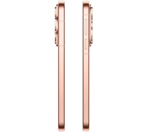 Смартфон Huawei Pura 80 12/256, Dual nano Sim, золотой