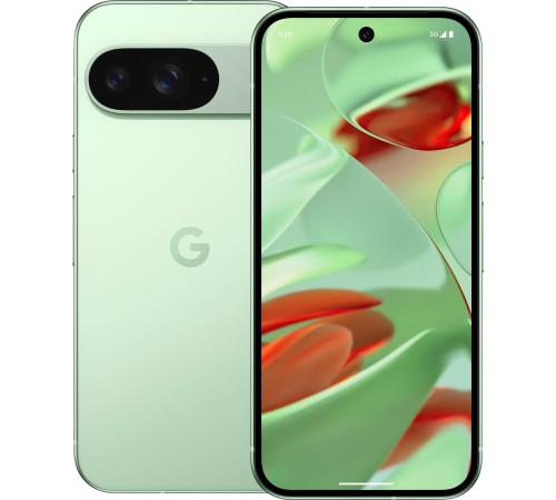Смартфон Google Pixel 9 5G 12/256 ГБ в зелёном цвете: двойная сим-карта (nano SIM + eSIM)