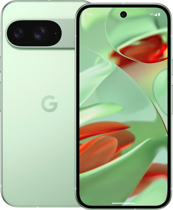 Смартфон Google Pixel 9 5G 12/256 ГБ, Dual: nano SIM + eSIM, Green