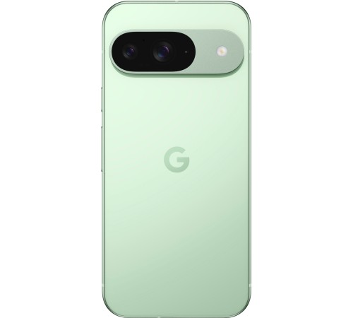 Смартфон Google Pixel 9 5G 12/256 ГБ в зелёном цвете: двойная сим-карта (nano SIM + eSIM)