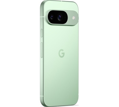 Смартфон Google Pixel 9 5G 12/256 ГБ в зелёном цвете: двойная сим-карта (nano SIM + eSIM)