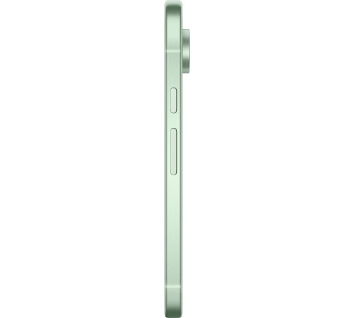 Смартфон Google Pixel 9 5G 12/256 ГБ в зелёном цвете: двойная сим-карта (nano SIM + eSIM)