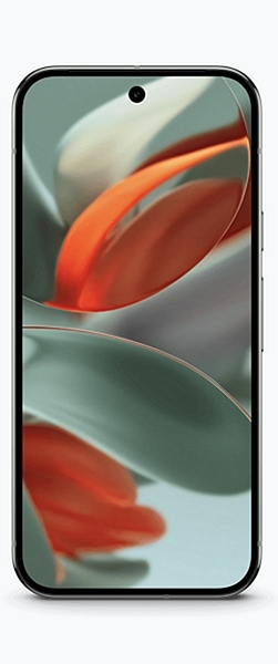 Смартфон Pixel 9 Pro XL 5G 16/256ГБ, Dual: nano SIM + eSIM, Hazel