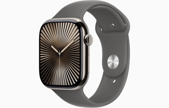 Apple Watch S10 42mm Natural Titanium Case with Stone Gray Sport Band M/L (HK)