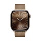 Роскошные Apple Watch S10: золотой титановый корпус 42 мм с браслетом Milanese Loop
