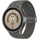 Умные часы Samsung Galaxy Watch 5 Pro 45 мм Gray Titanium: стиль и функциональность