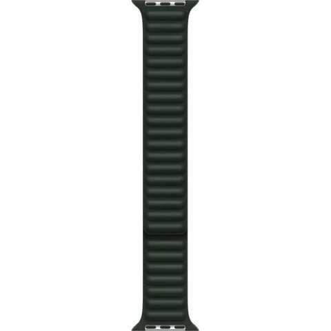 Ремешок для Apple Watch 41mm Sequoia Green Leather Link (Зеленый)