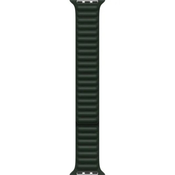 Ремешок для Apple Watch 41mm Sequoia Green Leather Link (Зеленый)