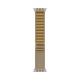 Умные часы Apple Watch Ultra 2 (2024): бежевые титановые часы с GPS и Cellular, ремешок Alpine Loop Tan HK, размер S
