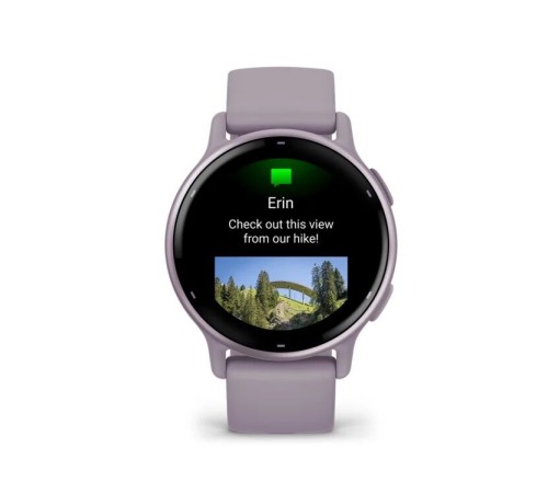 Умные часы Garmin Vivoactive 5, фиолетовый (010-02862-13)