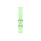 Умные часы Apple Watch Ultra 3 (2025) GPS + Cellular, 49 мм, Natural Titanium Case with Neon Green Ocean Band