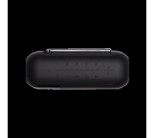 Портативная акустика JBL Tuner 2 FM в чёрном цвете: качественный звук в любом месте