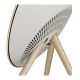 Портативная акустика Bang & Olufsen Beosound A9 5-го поколения в золотистом оттенке