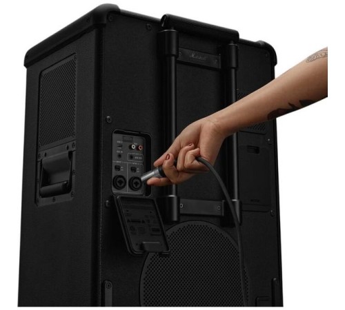 Беспроводная колонка Marshall Bromley 750 Black and Brass