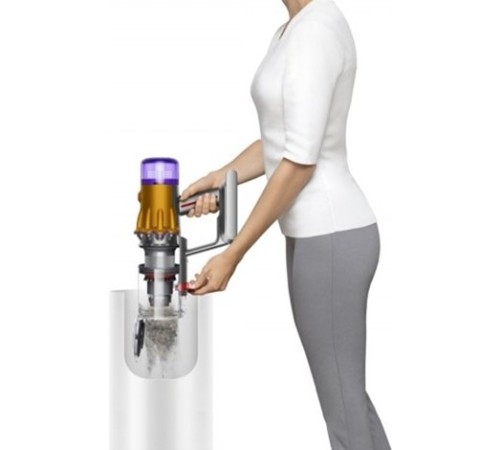 Пылесос Dyson V12 slim Absolute detected (SV46), gold