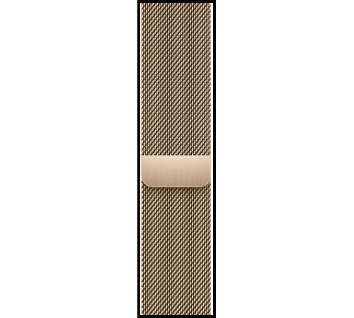 Золотые умные часы Apple Watch Series 8 41 мм с Milanese Loop MNJF3FD/A