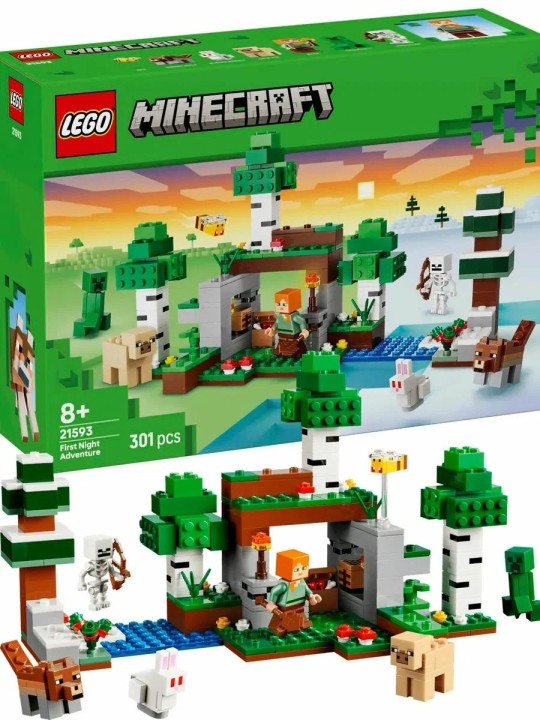 Конструктор LEGO Майнкрафт 21593 Первая ночь: убежище с Крипером, 301 дет.